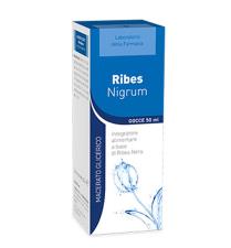 02 Ribes nigrum 30° 100ml