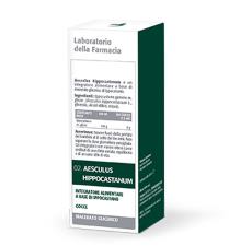 02 Aesculus hippocastanum 30° 50ml