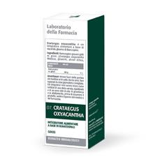 04 Crataegus oxyacantha 45° 50ml